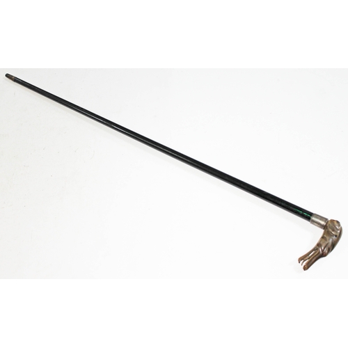 301 - An ebonised walking cane with pressed horn handle formed as a dog's head and hallmarked silver colla... 