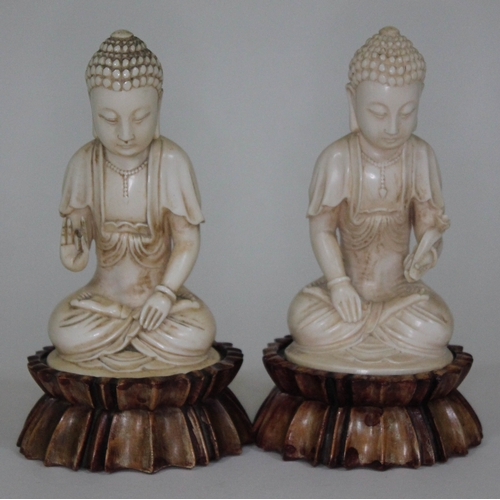 248 - A pair of Indian carved ivory lotus seated buddha, each on stained wood base, circa 1900, height 16c... 