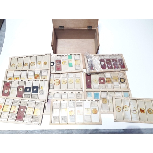 496 - A hinged fronted box of microscope slides.