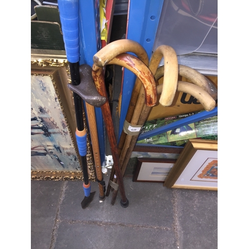 439 - 6 walking sticks