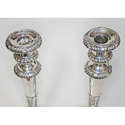 401 - A pair of George III Regency period silver candlesticks with gadrooned, shell and acanthus detail, M... 