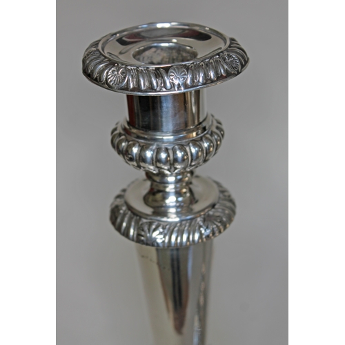 401 - A pair of George III Regency period silver candlesticks with gadrooned, shell and acanthus detail, M... 