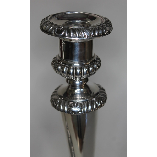 401 - A pair of George III Regency period silver candlesticks with gadrooned, shell and acanthus detail, M... 