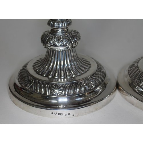 401 - A pair of George III Regency period silver candlesticks with gadrooned, shell and acanthus detail, M... 