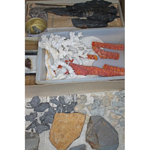 378 - A box of assorted fossils, together with coral specimens and two butterflies.