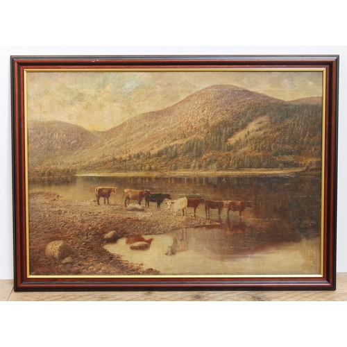 76 - S.H. Blake, cattle watering by loch, oil on canvas, 65cm x 45cm, signed and date 1910, framed 72cm x... 