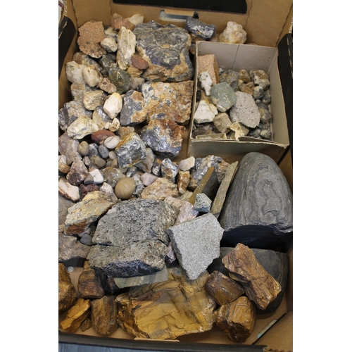 376 - A rock and mineral collection, various specimens including crystals etc.