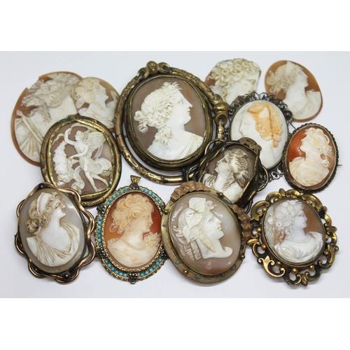 174 - A group of nine shell cameo brooches and a further four loose shell cameos.