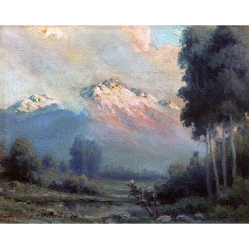 63 - F Vial (Chilean, late 19th/early 20th century), a set of four landscapes, oil on canvas, 41cm x 32cm... 