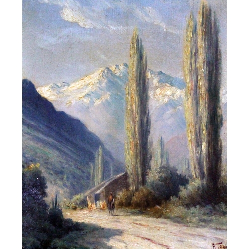 63 - F Vial (Chilean, late 19th/early 20th century), a set of four landscapes, oil on canvas, 41cm x 32cm... 