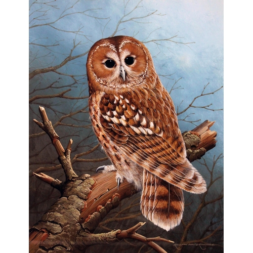 72 - Ralph Waterhouse (b1943), study of an owl, watercolour, 28cm x 36cm, signed lower right, glazed and ... 