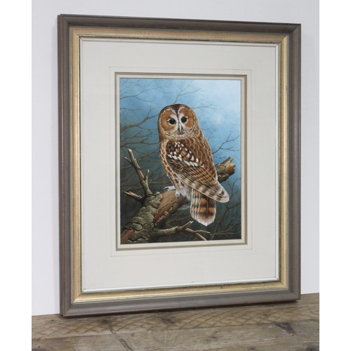 72 - Ralph Waterhouse (b1943), study of an owl, watercolour, 28cm x 36cm, signed lower right, glazed and ... 