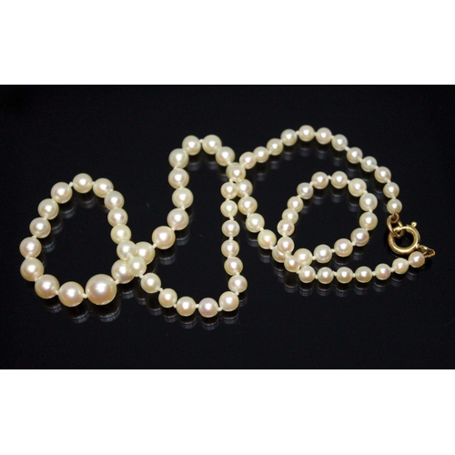 214 - A single strand of cultured pearls, ranging in diameter from approx. 3.83mm to 7.36mm, clasp marked ... 