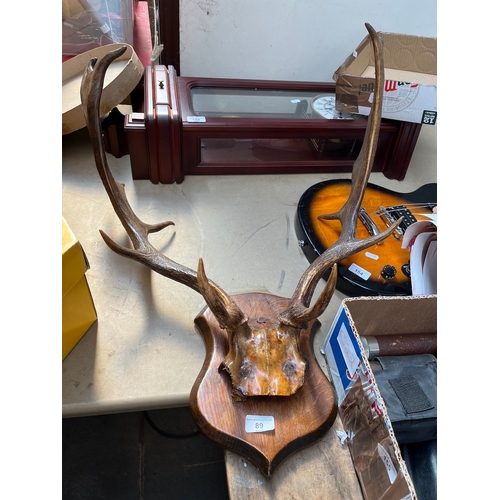 Lot 89        