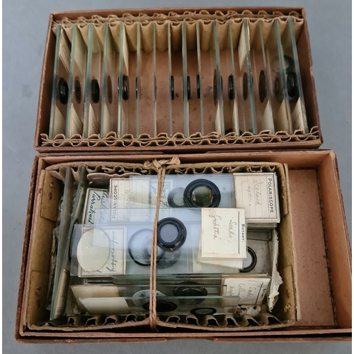 89 - Collection of 19th century mounted microscope / polariscope slides, various biology subjects.