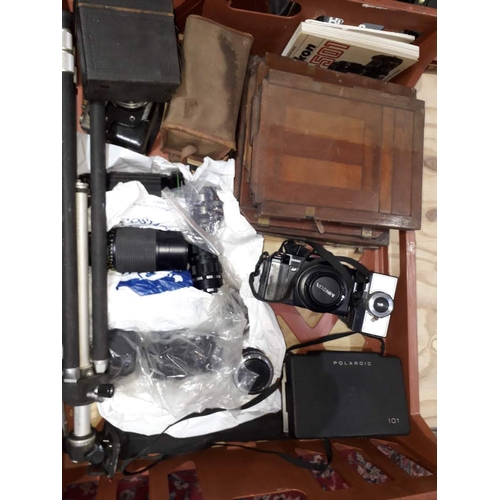 237 - A crate of assorted cameras including a Minolta 5000, a Polaroid 101, an antique plate camera, lense... 