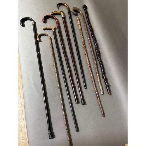 18 - A bundle of various walking stick and canes including silver mounted, horn handled etc.