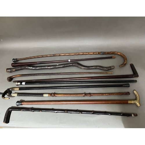 19 - A bundle of walking sticks including silver mounted, horn, gold plated etc.