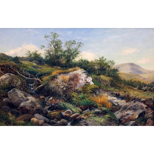 279 - David Bates (1840-1921), a pair of Welsh landscapes near Capel Curig, oil on canvas, 59cm x 39cm eac... 