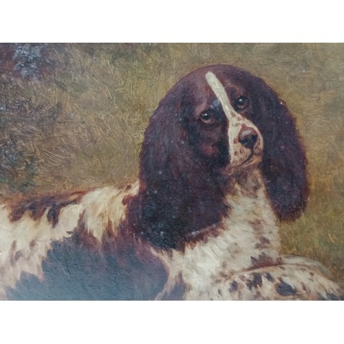 863 - Herbert St John Jones (1870-1939), 'Prince', portrait of a spaniel, oil on board, 29.5cm x 22cm, sig... 