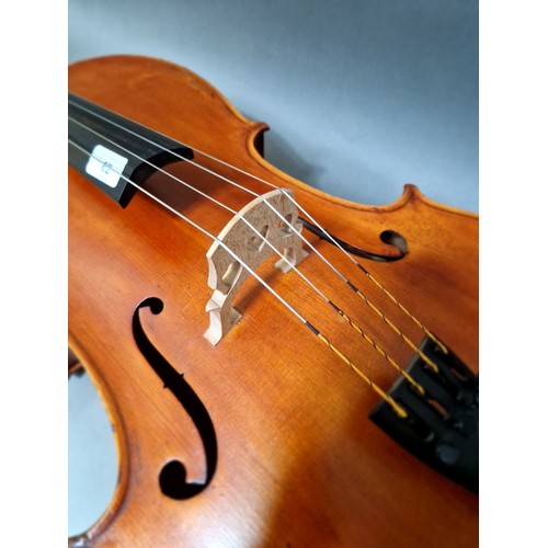 62 - A French cello, labelled 'J.T.L. Geronimo Barnabetti Paris', two piece back, length 749mm, with bow ... 