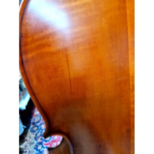 62 - A French cello, labelled 'J.T.L. Geronimo Barnabetti Paris', two piece back, length 749mm, with bow ... 