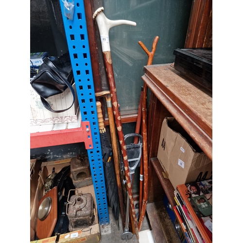 85 - A collection of walking sticks, an umbrella, and a shooting stick