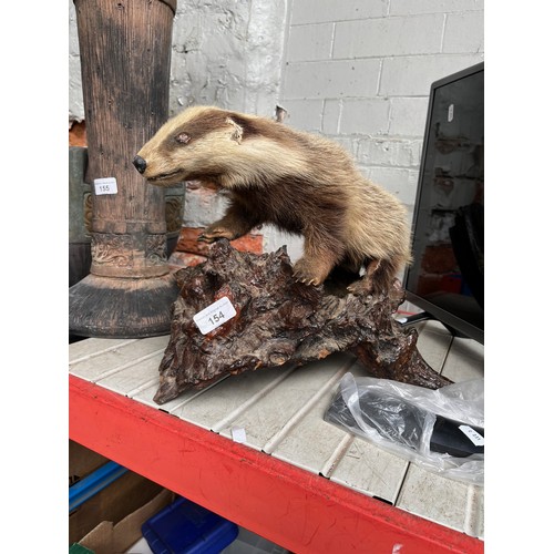 154 - A taxidermy study of a young badger on a log.