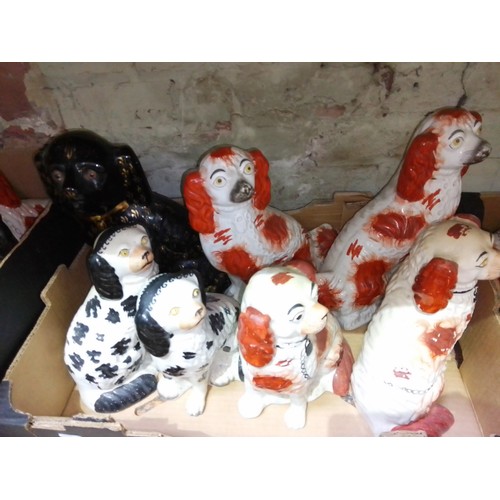 165 - A box of 19th century Staffordshire pottery dogs.