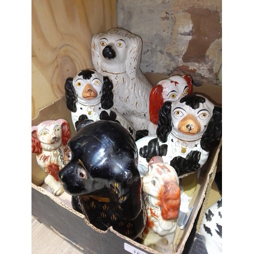 166 - A box of 19th century Staffordshire pottery dogs.