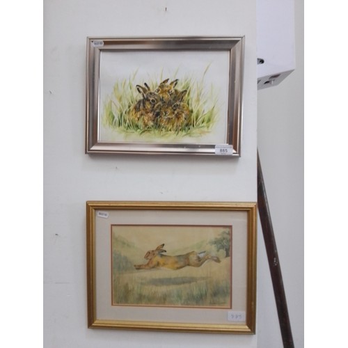 885 - Two original watercolours by Eileen Turner, studies of hares, (28cm x 20cm & 26cm x 17.5cm) both fra... 