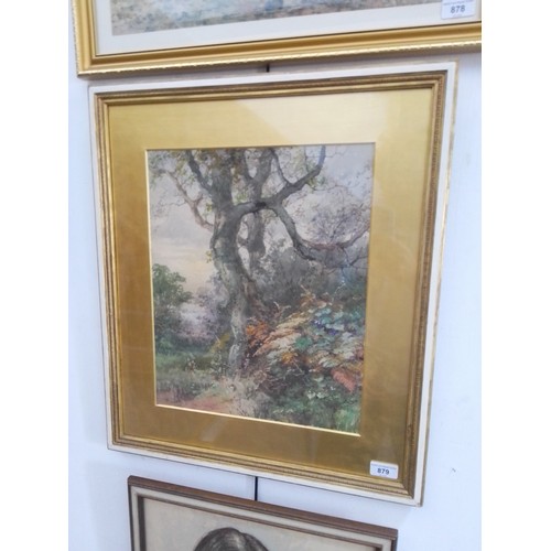 879 - Late 19th/early 20th century school, watercolour, woodland landscape scene (33cm x 40.5cm), signed '... 