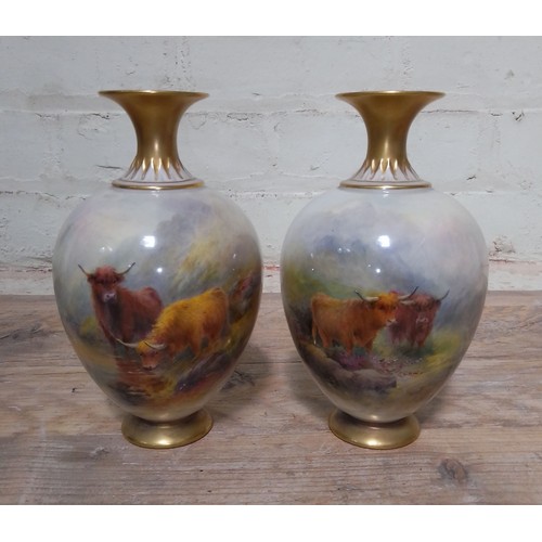 262 - A pair of Royal Worcester vases, hand painted with highland cattle and signed H Stinton, height 13cm... 