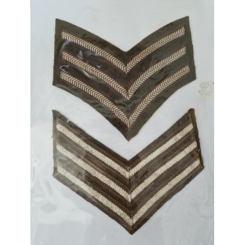 142 - Three albums of military badges, patches and buttons.