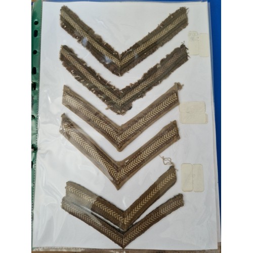 142 - Three albums of military badges, patches and buttons.