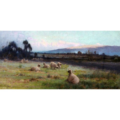 126 - Creswick Boydell (Active 1889-1916), sheep,, oil on panel, 41cm x 15cm, signed lower left, glazed an... 