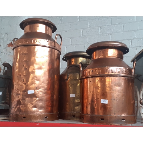 239 - Three milk churns, two copper and one brass, the larger one from Newhall Dairies.