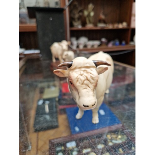 511 - Beswick cattle figures, Charolais bull figure (matt finish), Charolais cow and calf on wooden plinth