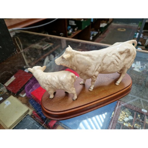 511 - Beswick cattle figures, Charolais bull figure (matt finish), Charolais cow and calf on wooden plinth