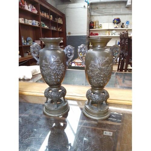 243 - A pair of oriental bronze vases.