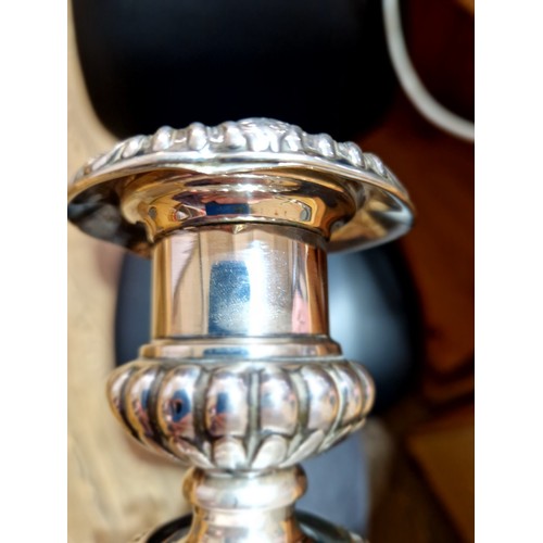 67 - A pair of George III Regency period silver candlesticks with gadrooned, shell and acanthus detail, M... 