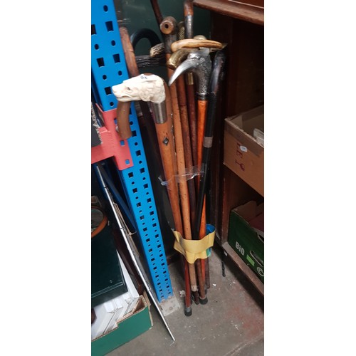 94 - A bundle of approx 14 walking sticks including antler handles, metal eagle head, 3 with silver ferru... 