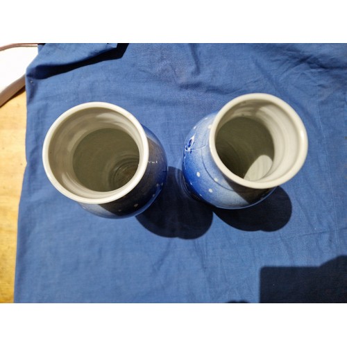 495 - A pair of Chinese porcelain vases, each bearing six character mark to base, height 24.5cm.