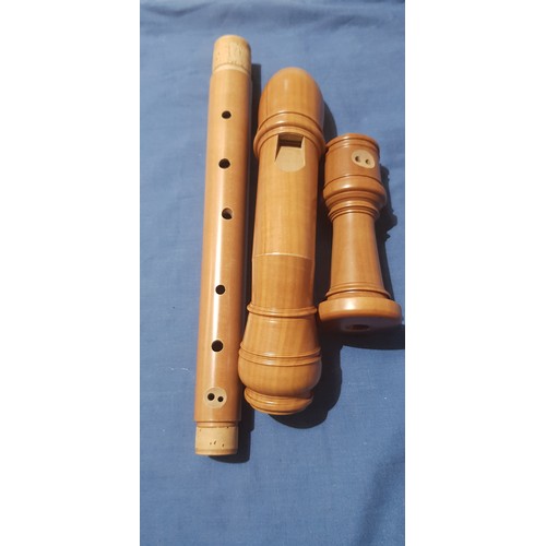 256 - A Yamaha plastic bass recorder and a Coolsma wooden tenor recorder.