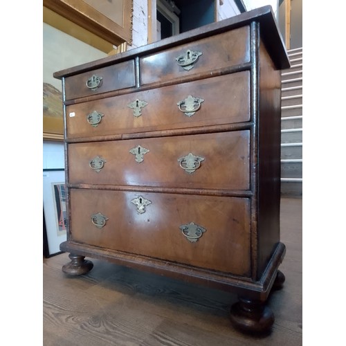 884 - A 17th century William and Mary figured walnut chest of drawers, circa 1690.