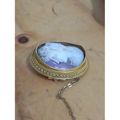 7 - A Victorian shell cameo brooch depicting a classical female head in side profile wearing grape vine ... 