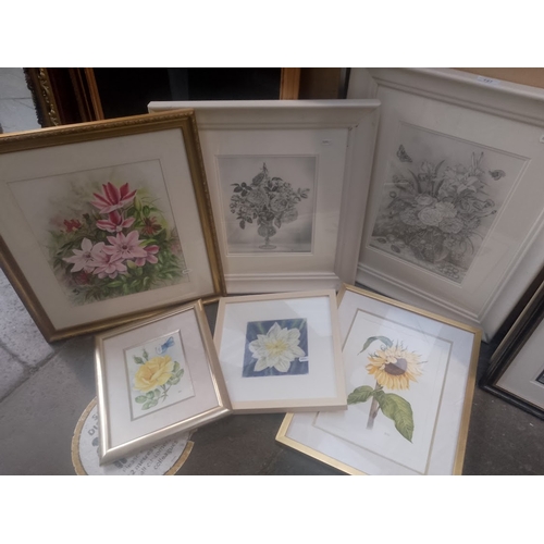 727 - Six original works by Beverley Hilton (20th/21st century), still life studies of flowers, various me... 