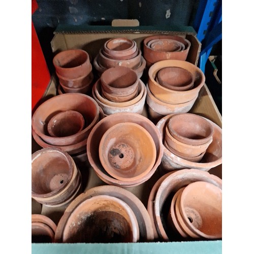 119 - A box of terracotta plant pots.