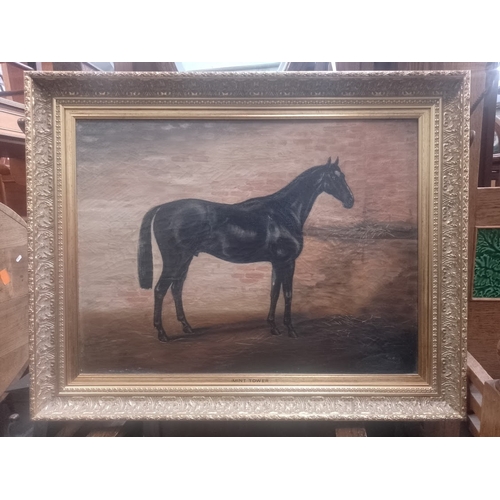 815 - T B Whitby (British, early 20th century), 'Mint Tower', oil on canvas, horse in stable, 60cm x 45.5c... 