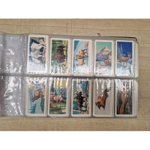 429 - Five albums of assorted cigarette cards.